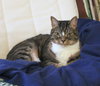 Miki *Offered by Owner* Outgoing Senior Gal