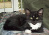 Sparkle and Shine - Bonded Sister Babies