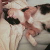 Kaze *Offered by Owner* Young adult female