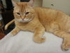 McDreamy *Offered by Owner* Big Goofy Lover