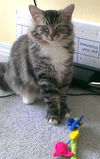 Josephine