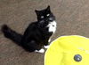Tasha - Senior Sweetheart