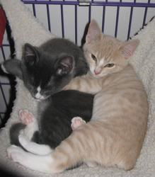 JINGLES and YUKON CORNELIUS
