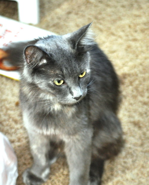 Sophia - LOVES Children!
