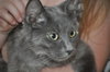 Sophia - LOVES Children!