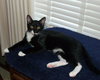 Presley