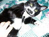 Mittens