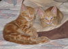 Fritz and Hans