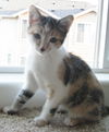 Penelope