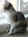 Penelope