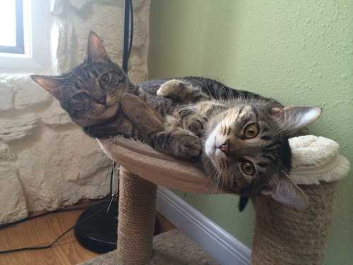 Maya and Layla 