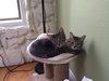 Maya and Layla 