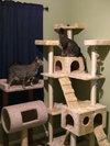 Maya and Layla 