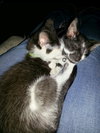 Smudge and Pepper