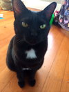Sookie 