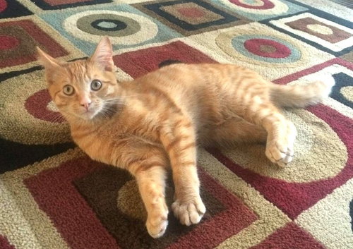 Oliver