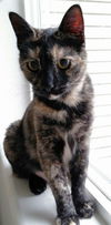Ameline and her brother Java Joe