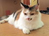 Lucy 