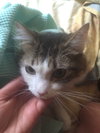 Susie Q