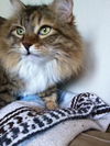 Magnolia and Julep - Senior Sister Pair