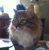 Magnolia and Julep - Senior Sister Pair