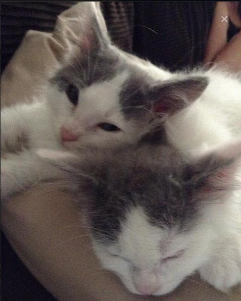 Dot & Norbert