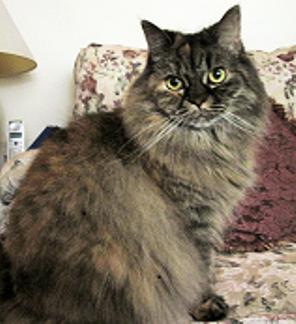 Maxine - Senior Beauty - Offered by Owner