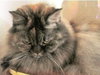 Maxine - Senior Beauty - Offered by Owner