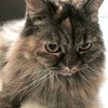Maxine - Senior Beauty - Offered by Owner