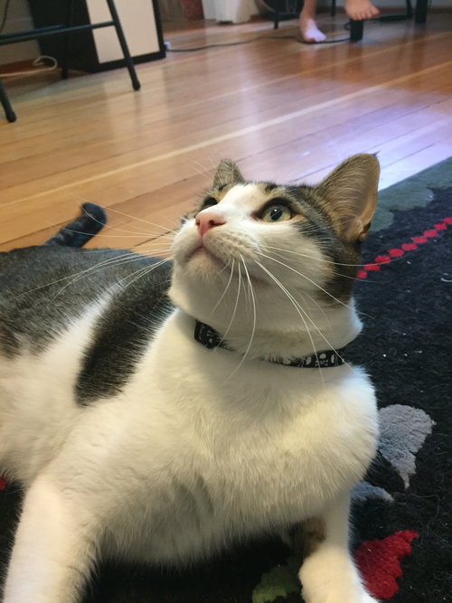 Max 