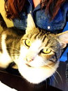 Straymond - Offered by Owner - FIV+