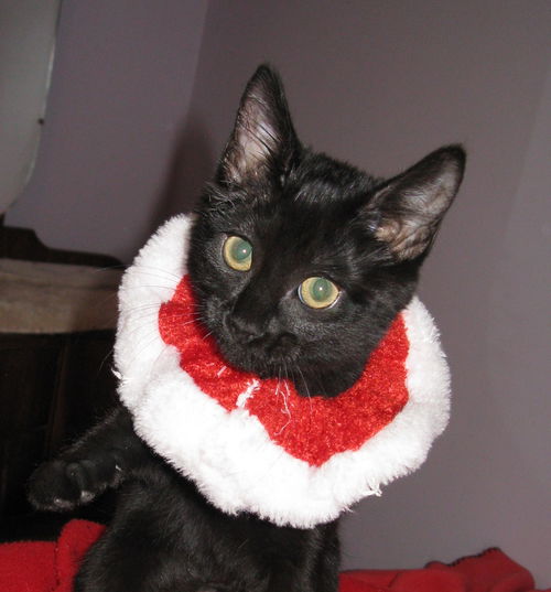 Jingles & Tinsel