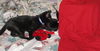 Jingles & Tinsel