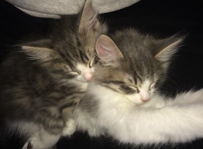 Drax and Warlock - Bonded brothers