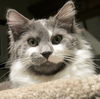 Mason - NICE!! Young male