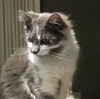 Mason - NICE!! Young male
