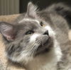 Mason - NICE!! Young male