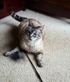 Offered by Owner- ME TOO - Friendly to all!