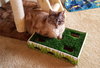 Offered by Owner- ME TOO - Friendly to all!