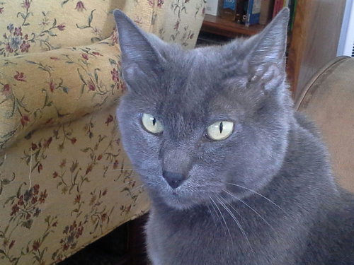 Sophie 