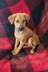Theo (NY-Shari) - Photo 1