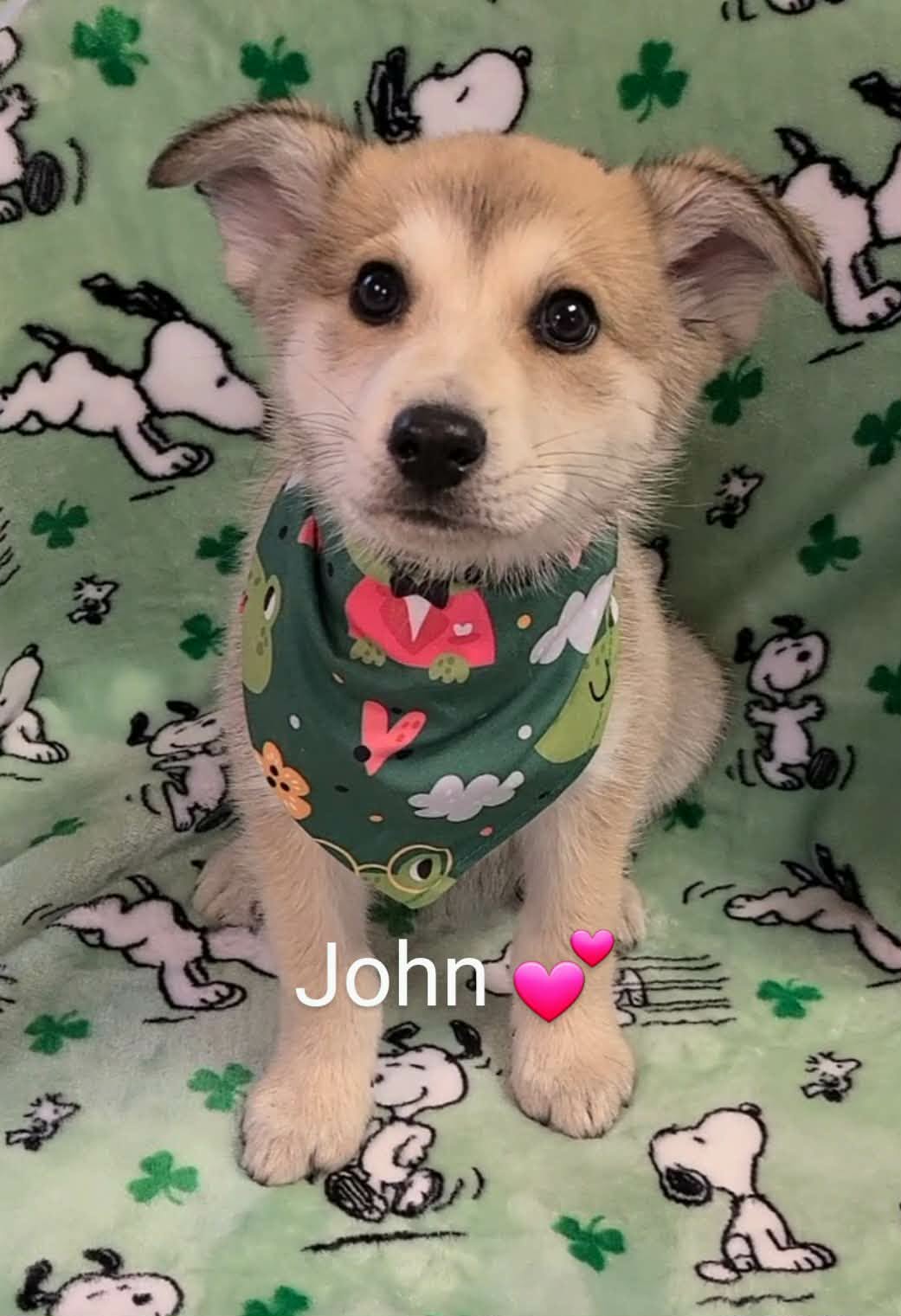 John (NY-Sarah) Image