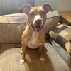 Penelope - Photo 6