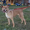 Penelope - Photo 4