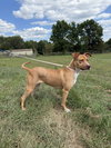 Penelope - Photo 2
