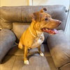 Penelope - Photo 1