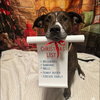 Texas Pete - Photo 2