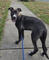 Nimbus - Photo 4