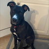 Nimbus - Photo 1