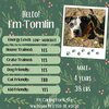 Tomlin - Photo 3